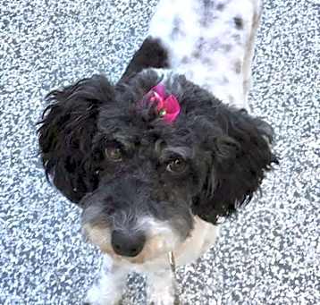 Photo of Kaylee