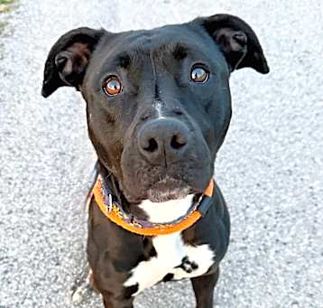 Photo of Ember