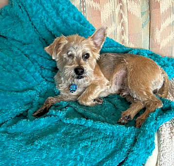 Photo of Tucker