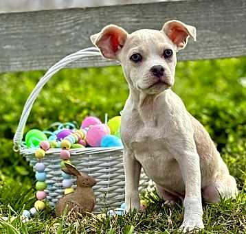 Photo of Asher