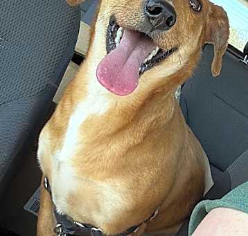 Photo of Ruhn