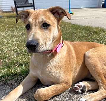 Photo of Rosie