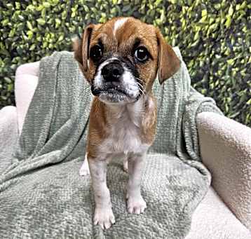 Photo of Clarky