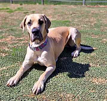 Photo of Marcie