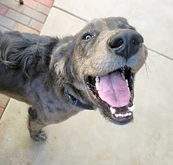 Photo of Ash