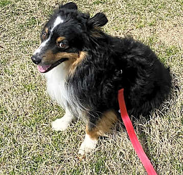 Photo of TUK