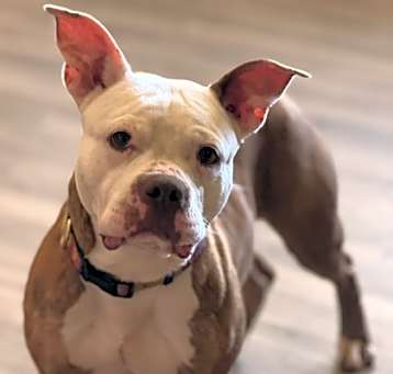 Photo of Nipsey