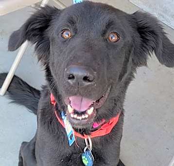 Photo of Maggie Lou