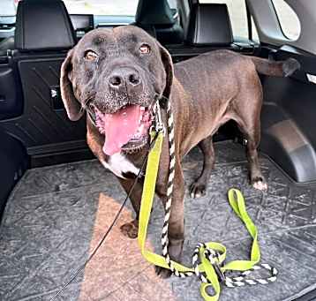Photo of Brody