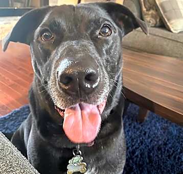 Photo of Freddie aka Cash