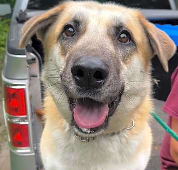 Photo of Coopie