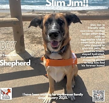 Photo of Slim Jim