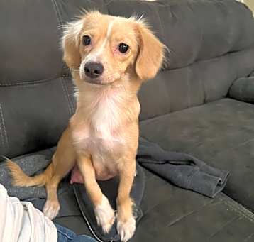 Photo of Lady