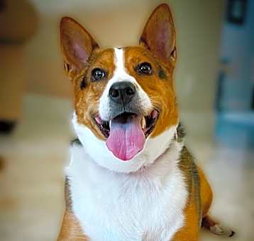 Photo of Macks