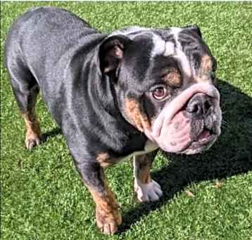 Photo of Ceelo