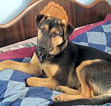 Photo of Turbo