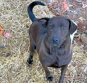 Photo of Mia (Courtesy)
