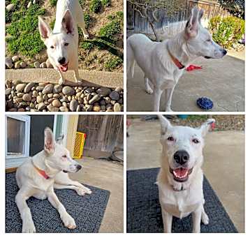 Photo of Sammie