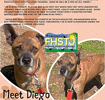 Photo of Diego