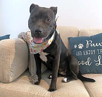 Photo of Sasha