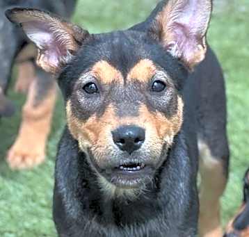 Photo of Toph