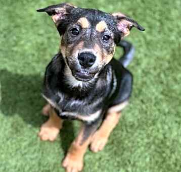 Photo of Zuko