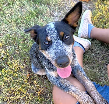 Photo of Maya