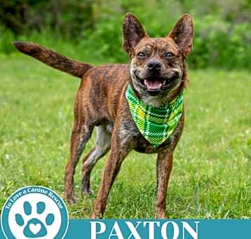 Photo of Paxton 032225