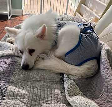 Photo of Bentley