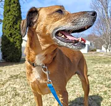 Photo of Hunter
