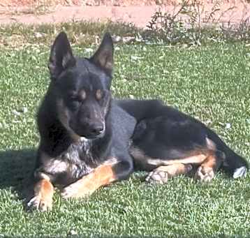 Photo of Toni