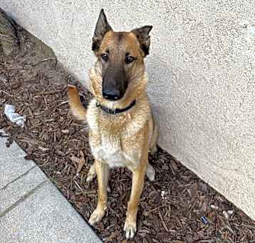 Photo of Ruca
