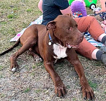 Photo of Charlie Brown
