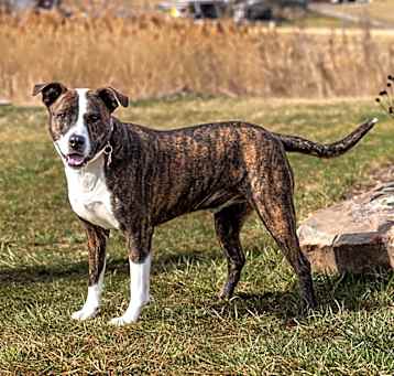 Photo of Quimby