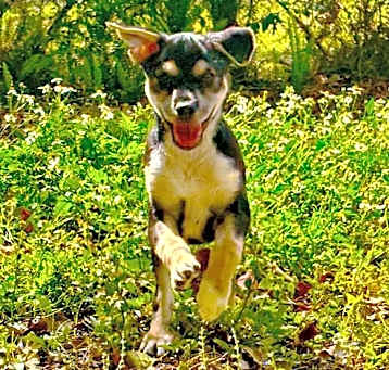 Photo of Beethoven