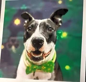 Photo of Faith