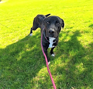 Photo of Zeus