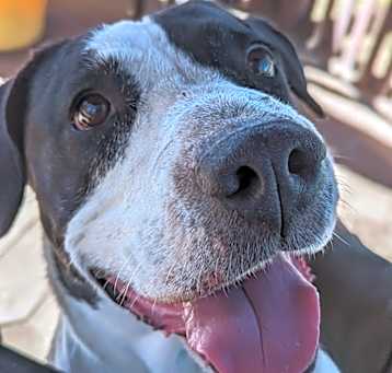 Photo of Lola
