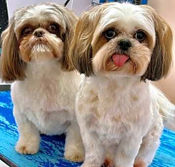 Photo of Sassy & Dori