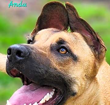 Photo of Andy
