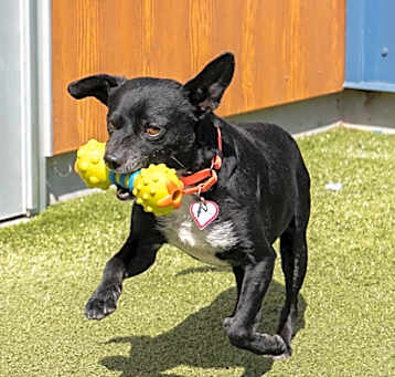 Photo of Kingston