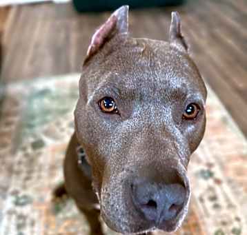 Photo of Blu True best friend to you