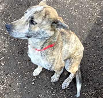 Photo of Nalia