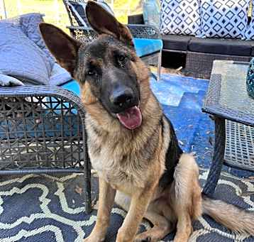 Photo of Odin