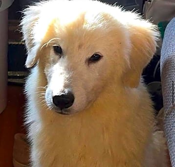 Photo of Martha aka Moana