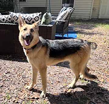 Photo of Maggie