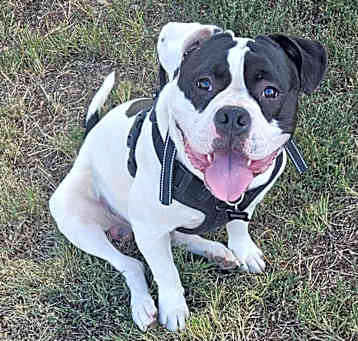 Photo of Spooky