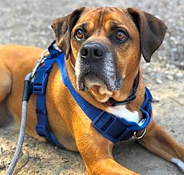 Photo of Walter (Walt)
