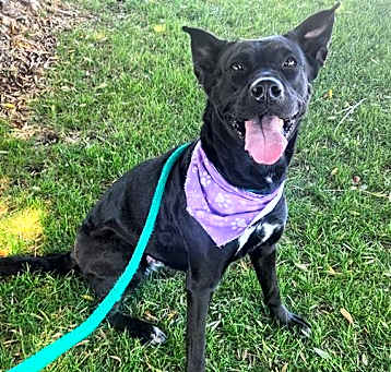 Photo of DELILAH