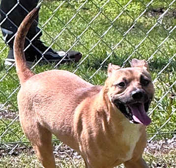 Photo of Buster